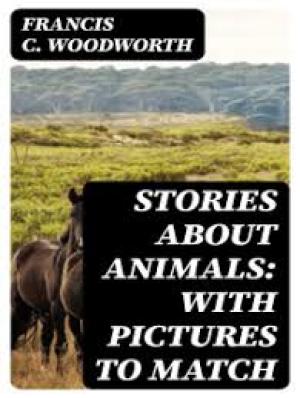 Stories about Animals with Pictures to Match